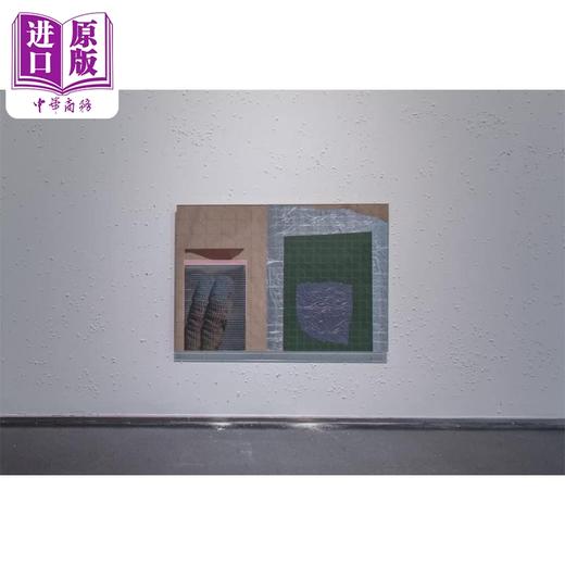 【中商原版】Zhang Ruyi (Bilingual Ed.) 进口艺术 张如怡 商品图3