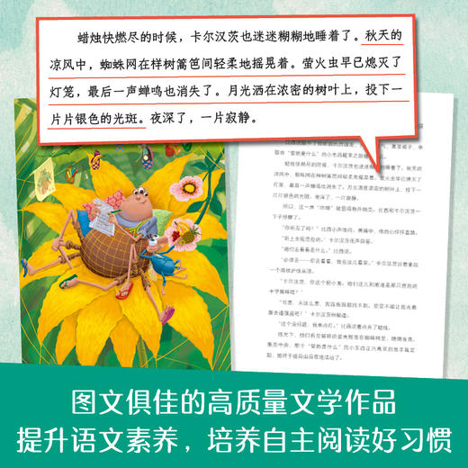 蜘蛛和苍蝇的幽默故事全5册【第一辑+第二辑】 商品图3