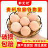 L无抗生素贵州鲜鸡蛋 10枚售15.9元 商品缩略图1