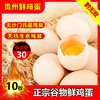 L无抗生素贵州鲜鸡蛋 10枚售15.9元 商品缩略图0