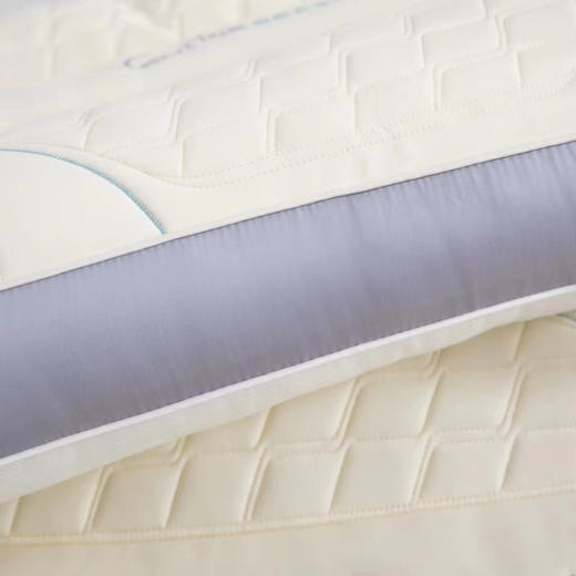 夏维怡 2024春夏新品—凝炽凉感乳胶分区枕 商品图4