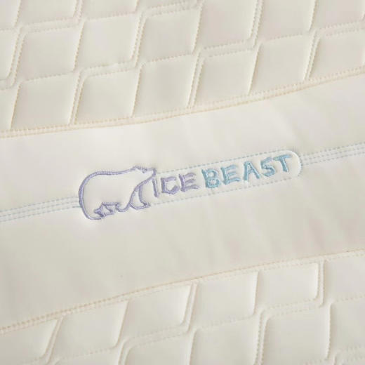 夏维怡 2024春夏新品—凝炽凉感乳胶分区枕 商品图6