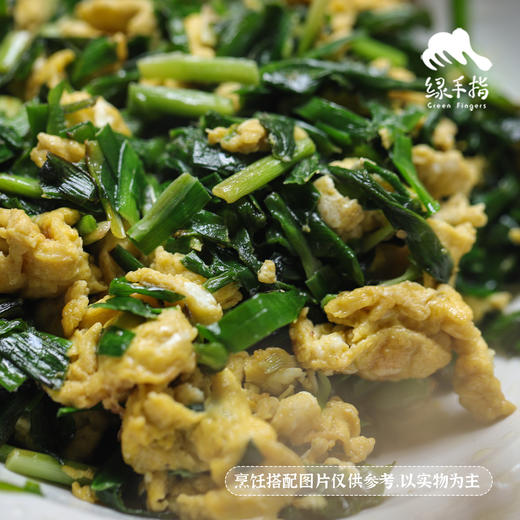 有机北京韭菜 | 合作生产* Organic Leek | Coproduction 商品图3