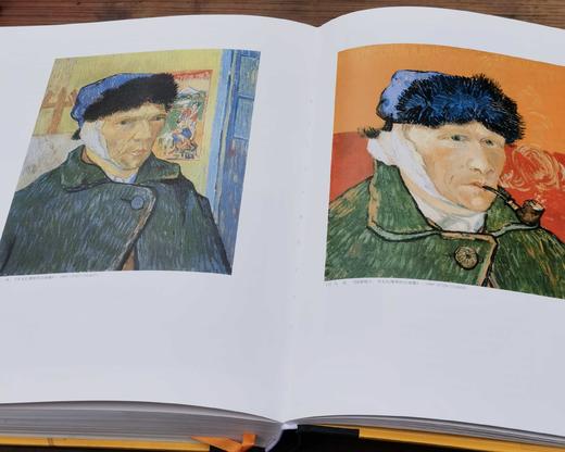 《凡高书信全集》，凡高博物馆 惠更斯历史研究所主编，林骧华等译， 8开精装，布脊封面，上海书画出版社2016年5月初版。定价4800，售价1680。品相95成。 商品图11