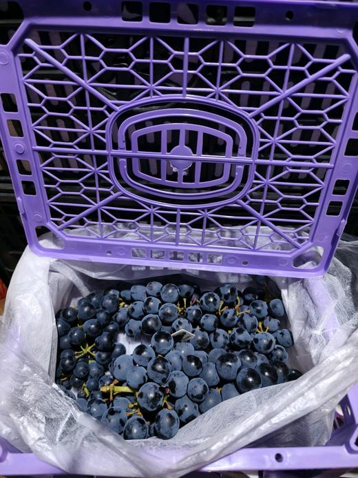 蓝莓葡萄3.5斤/筐 商品图0