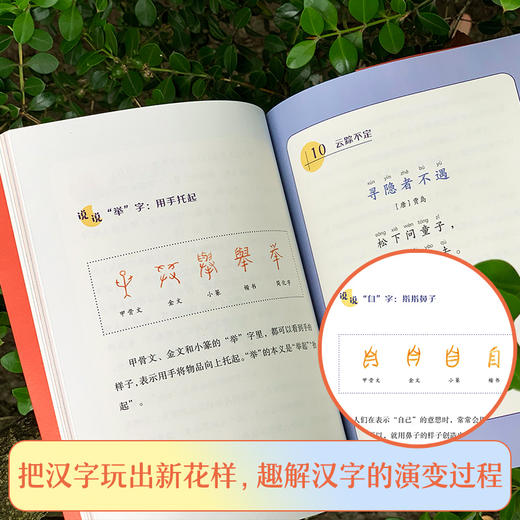 明月来相照：古诗原来可以这样学·新月篇（小学1-2年级）(朱爱朝) 商品图2