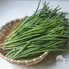 有机北京韭菜 | 合作生产* Organic Leek | Coproduction