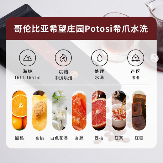 【甄选白金】泰摩哥伦比亚希望庄园 Potosi希爪水洗-100g 商品图1