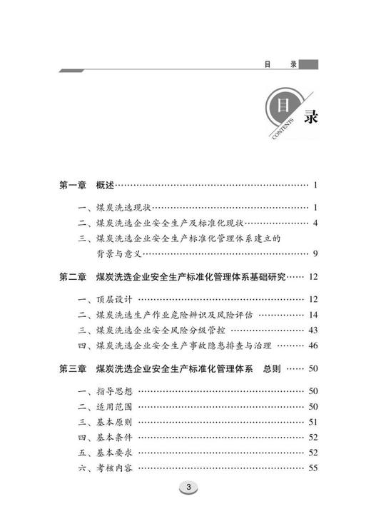 煤炭洗选企业安全生产标准化管理体系 商品图1