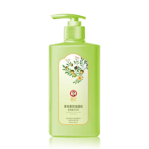 霸王  茶皂素控油蓬松氨基酸洗发液600g 10101022332 商品图0