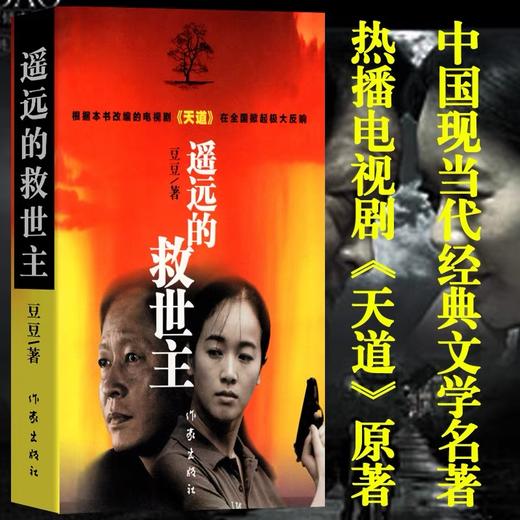 遥远的救世主  电视剧天道原著豆豆著作 商品图1