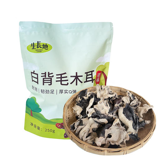 L生长地白背毛木耳250g 商品图0