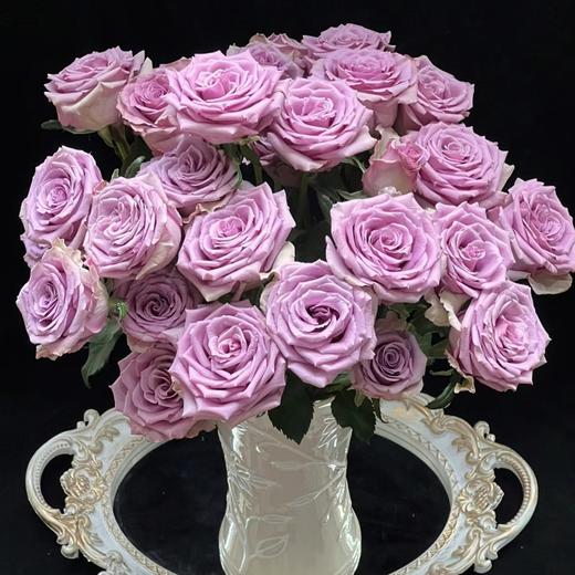 花友专享 | 紫霞仙子玫瑰 10枝 商品图0