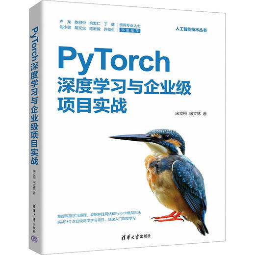PyTorch深度学习与企业级项目实战 商品图0