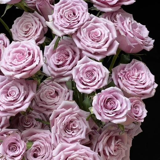 花友专享 | 紫霞仙子玫瑰 10枝 商品图1
