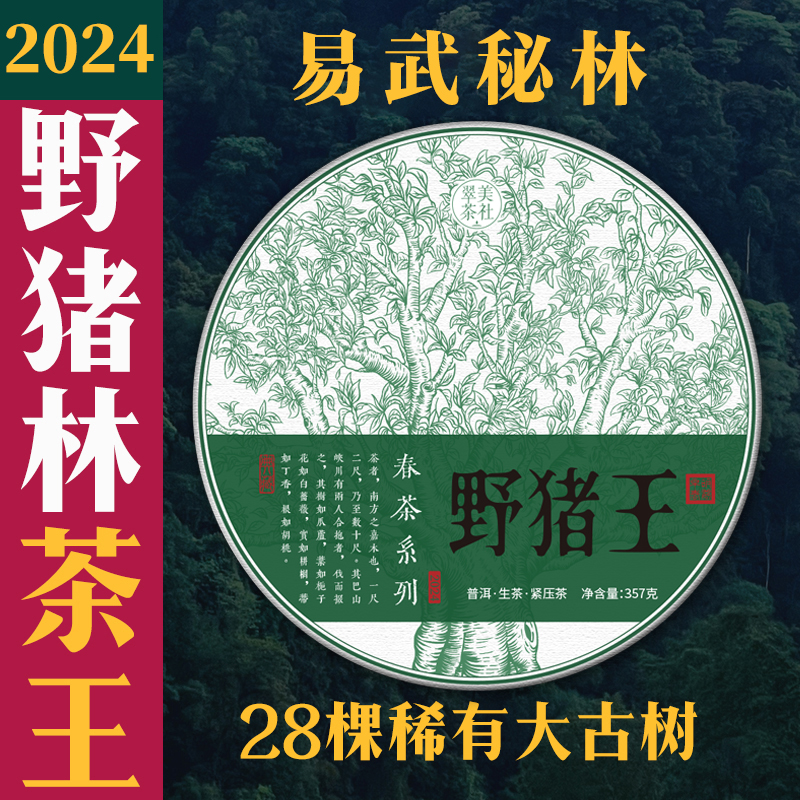 【2024野猪王】野猪林茶王树