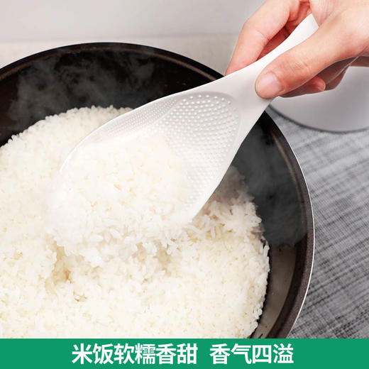 光明知青糯香米5Kg 商品图2