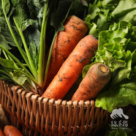 生态蔬菜箱（河南）  | 合作生产* Ecological vegetable box | Coproduction