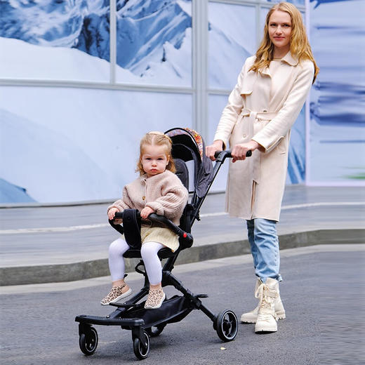 AIrud(艾瑞迪）遛娃手推车816黑色 商品图3