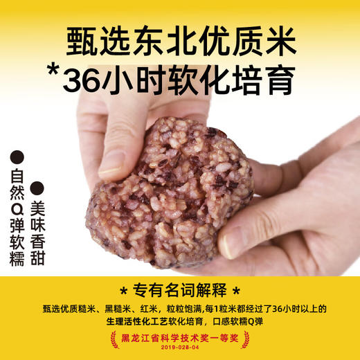 【秒杀】糙米大匠发芽糙米即食饭团80g*10个 商品图1