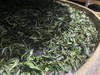 福鼎白茶一级特等贡眉2024年翁江1958老树贡眉 商品缩略图4