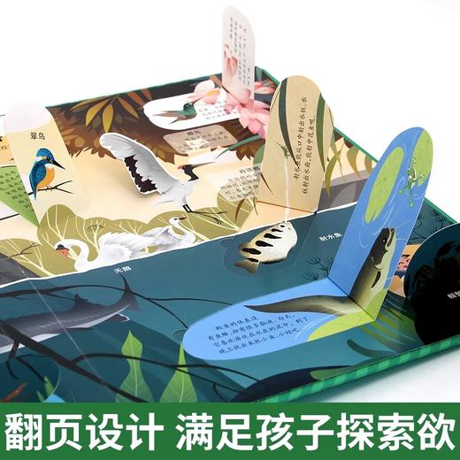 神奇的动物3D立体书 盒装 商品图4