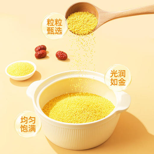 燕之坊 有机金玉黄小米礼盒 3kg 东北杂粮粗粮小米粥送礼送长辈团购礼盒 商品图3