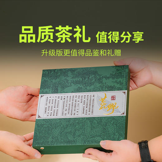 荒野单片装  生茶  357克  2022年 商品图3