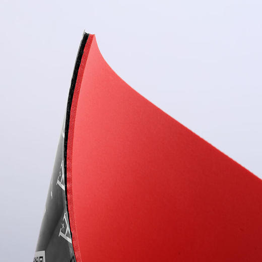 Sanwei三维纳米齿轮乒乓球胶皮专业涩性反胶套胶乒乓球反胶套胶 商品图1