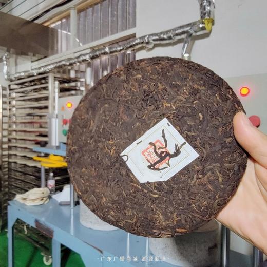 得闲饮茶·高端熟普 临仓双江高山荒养大树 独有木质香 枣香馥郁 五年陈 /《珠江第一线》力荐好茶【小堆离地发酵工艺/限量180饼】广东省内包邮 商品图5