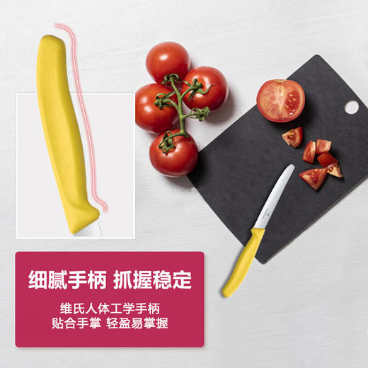 维氏经典野餐刀不锈钢折叠多功能刀水果刀波浪刃餐刀黑色110mm 商品图3