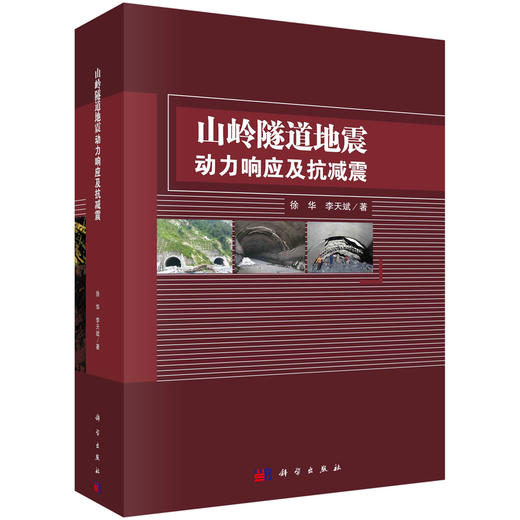 山岭隧道地震动力响应及抗减震 商品图0