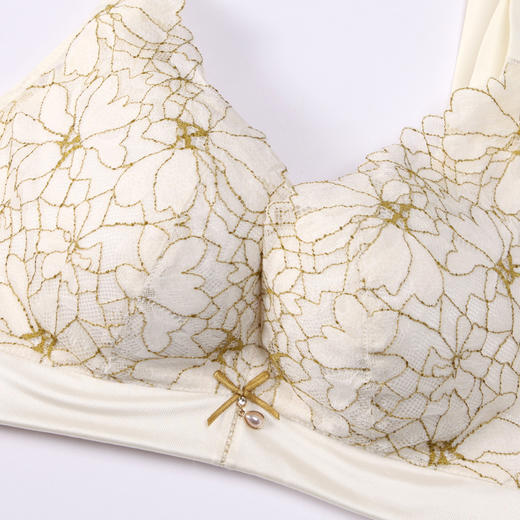 都市丽人舒软挺塑轻塑调整型内衣女蕾丝塑身CD杯3/4杯薄款文胸树脂胶圈五排扣LJ42B2 商品图5