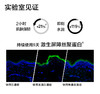 倩碧黄油乳液新年版 商品缩略图7