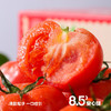 陕西普罗旺斯西红柿 沙瓤多汁 浓郁口感 72小时内发货 商品缩略图4
