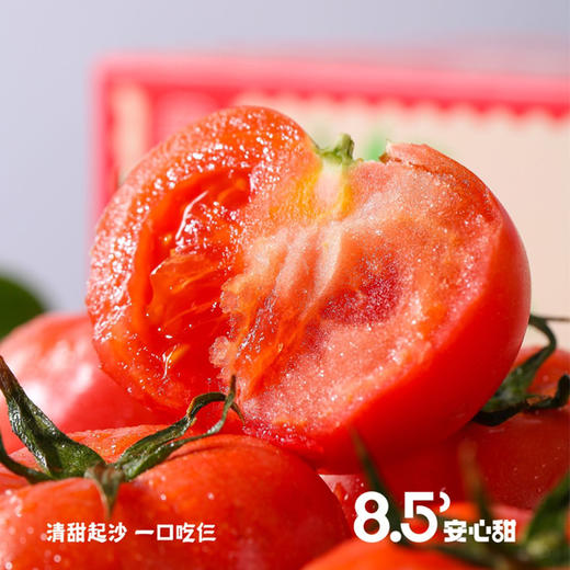陕西普罗旺斯西红柿 沙瓤多汁 浓郁口感 72小时内发货 商品图4