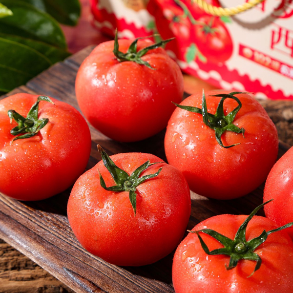 陕西普罗旺斯西红柿 沙瓤多汁 浓郁口感 72小时内发货