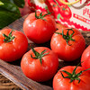 陕西普罗旺斯西红柿 沙瓤多汁 浓郁口感 72小时内发货 商品缩略图0