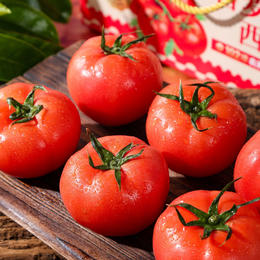 陕西普罗旺斯西红柿 沙瓤多汁 浓郁口感 72小时内发货