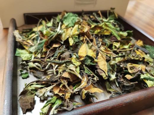 【AN】云南临沧 古树白茶 好品质口粮茶 商品图1