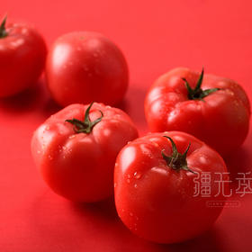 新疆吐鲁番沙瓤西红柿 家庭装  礼盒装 番茄