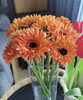 【拉丝弗朗】橙色拉丝菊  约10枝/扎 商品缩略图1