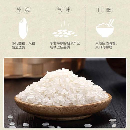 金龙鱼特选东北大米-5kg 商品图2