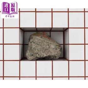 【中商原版】Zhang Ruyi (Bilingual Ed.) 进口艺术 张如怡