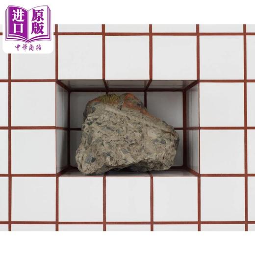 【中商原版】Zhang Ruyi (Bilingual Ed.) 进口艺术 张如怡 商品图0