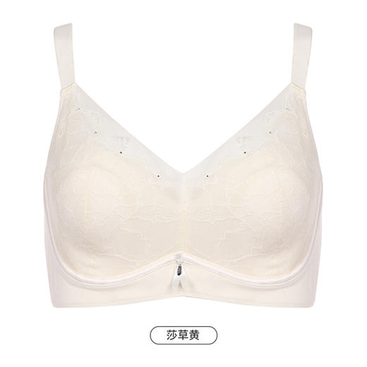都市丽人舒软挺塑轻塑塑身内衣女蕾丝BC杯适穿3/4杯超薄款速干调整型文胸软钢圈三排扣LJ43D6 商品图12