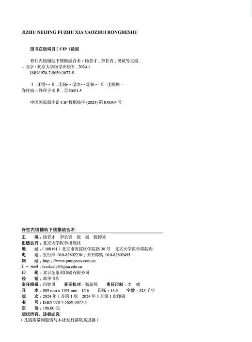 脊柱微创外科前沿与创新手术丛书 脊柱内镜辅助下腰椎融合术 双孔双通道非同轴内镜技术 外科学 北京大学医学出版社9787565930775  商品图3