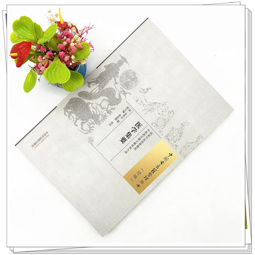 医学集要（中医古医籍整理丛书.续编）清·朱凤台 纂 中国中医药出版社 商品图2