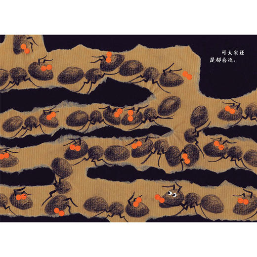 蚂蚁的故事 商品图2