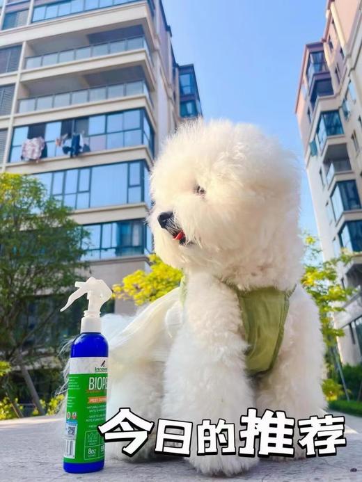 升级版伊诺特体外驱虫防蚊喷雾240ml大瓶！ 商品图5